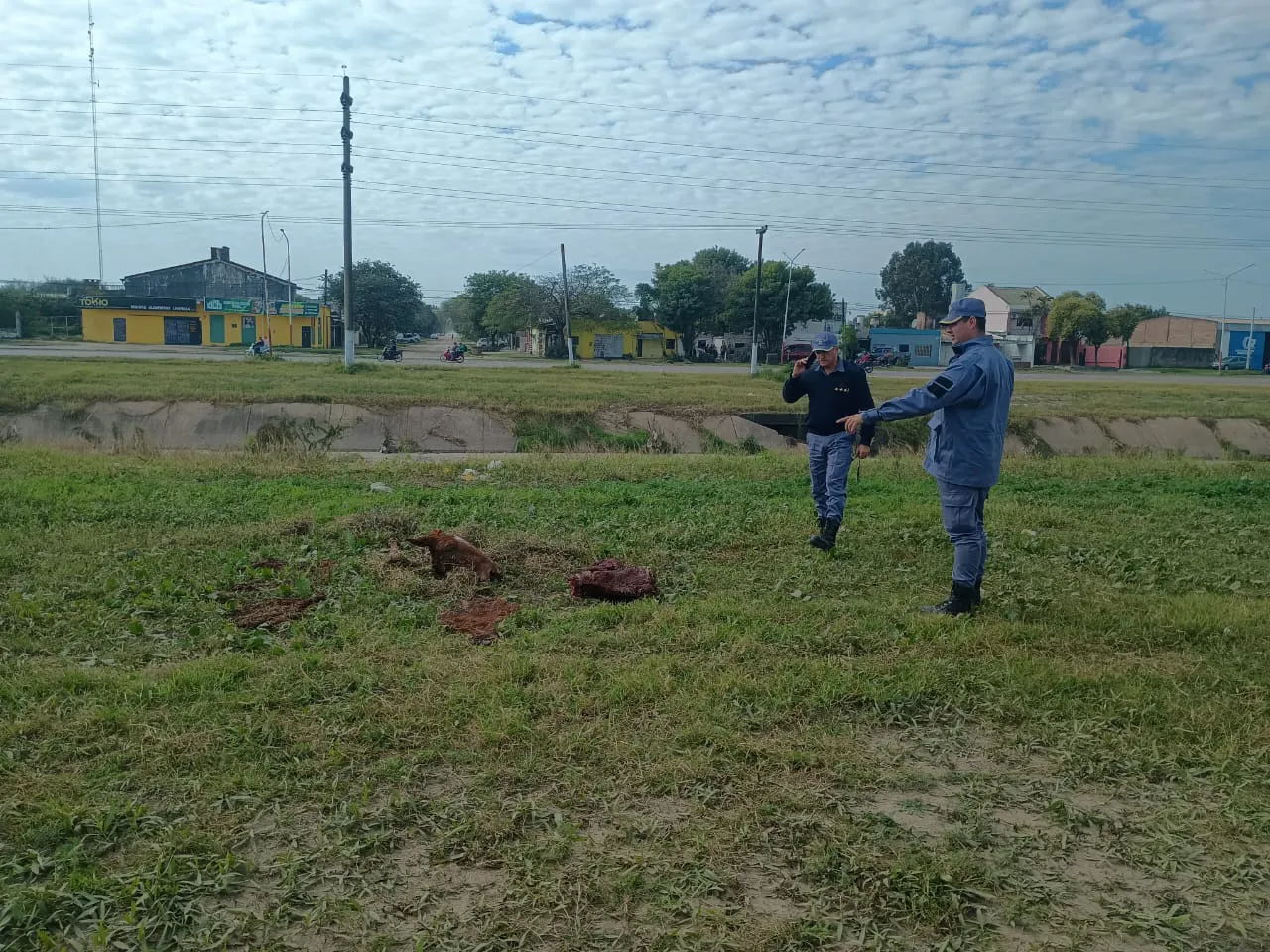 WhatsApp Image 2025-07-22 at 15.05.00