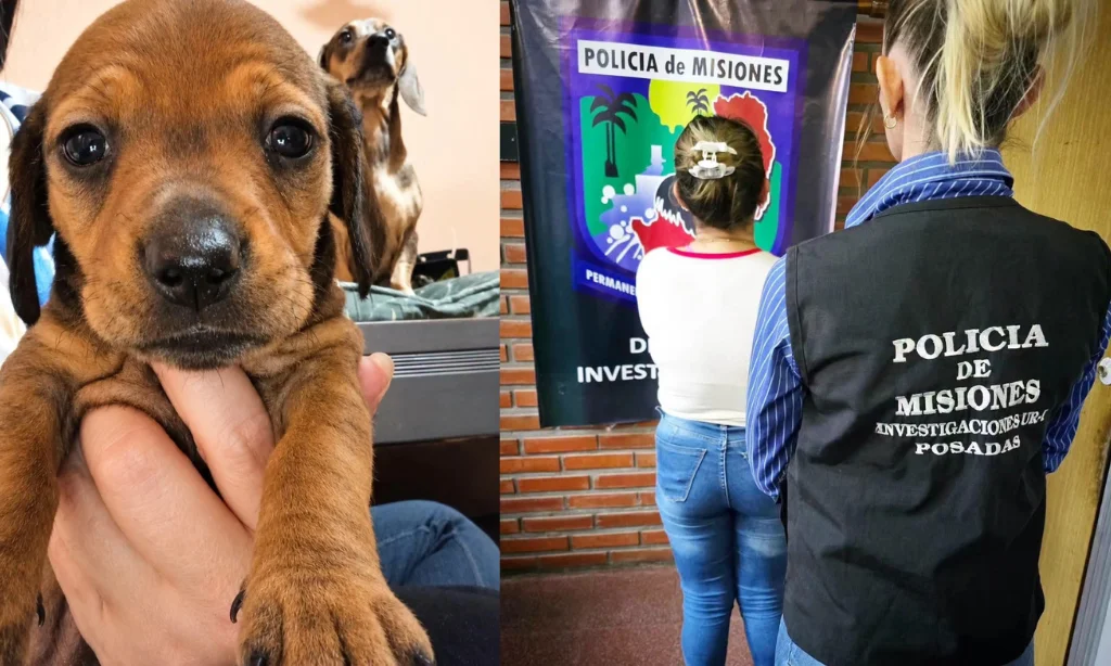FOTOS 53