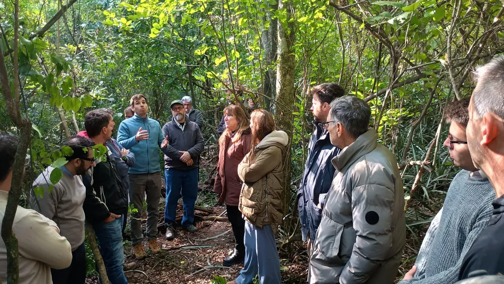 WhatsApp Image 2025-06-27 at 11.36.12