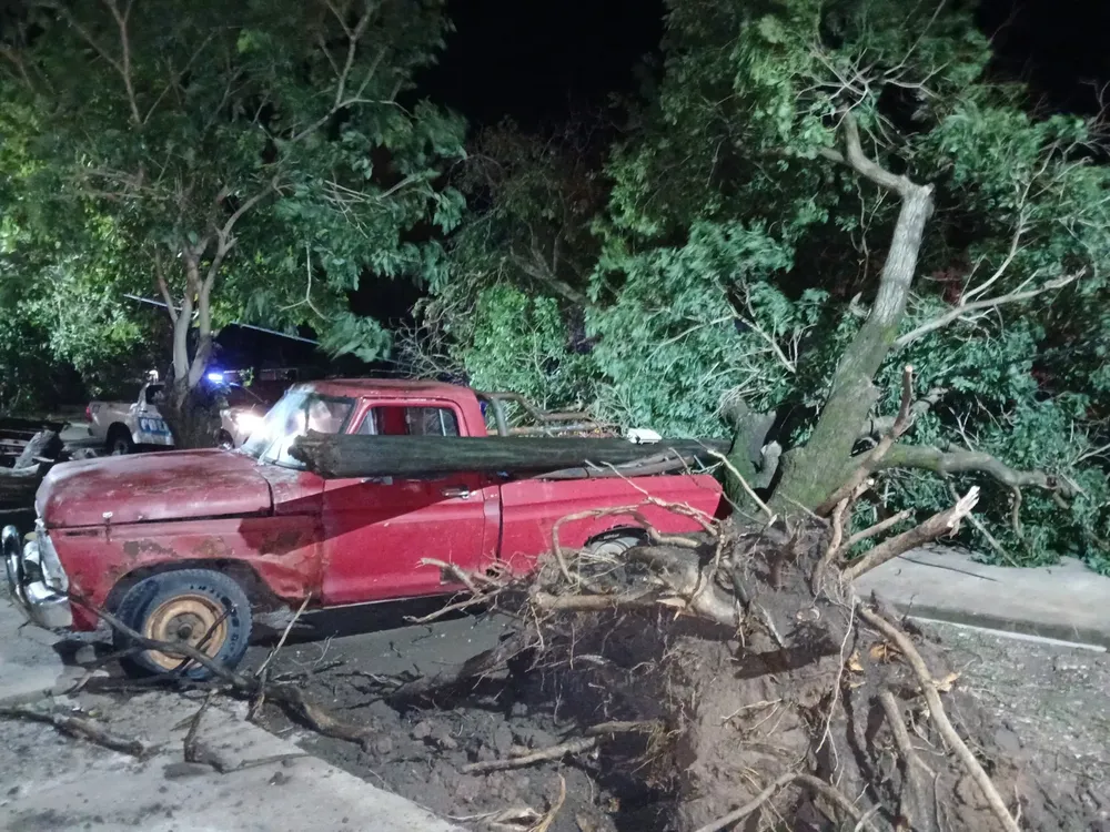 WhatsApp Image 2025-11-27 at 23.18.40