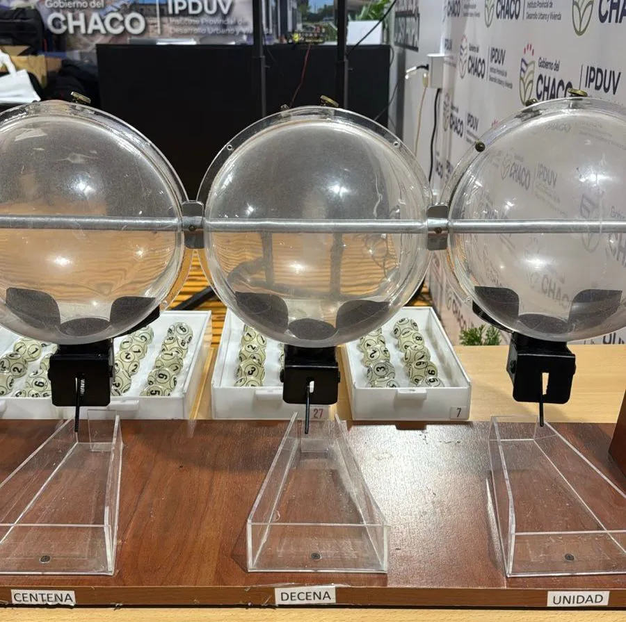 WhatsApp Image 2025-12-11 at 15.59.07