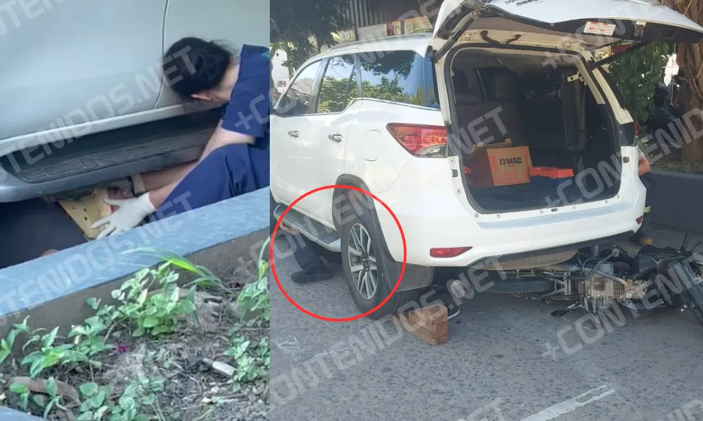 Presentación (43) (2)