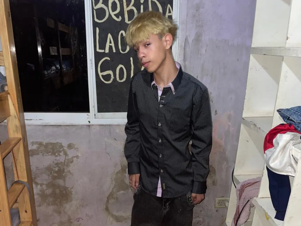 Presentación (43) (2)