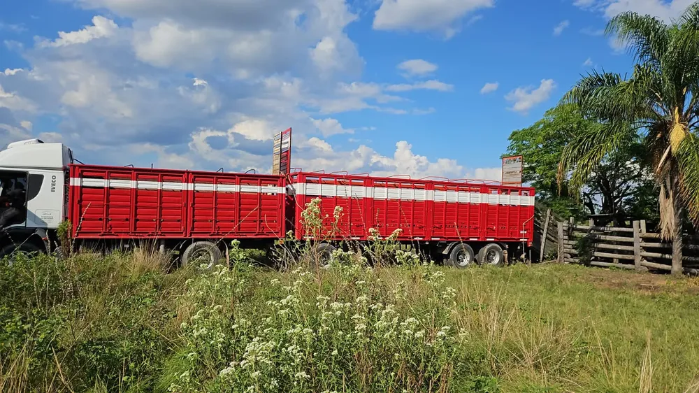 WhatsApp Image 2025-03-25 at 07.25.12