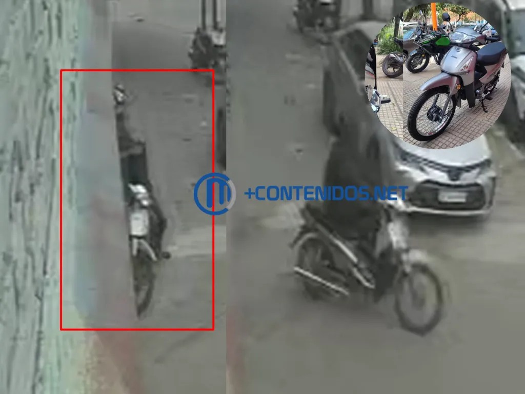 Presentación (43) (1)