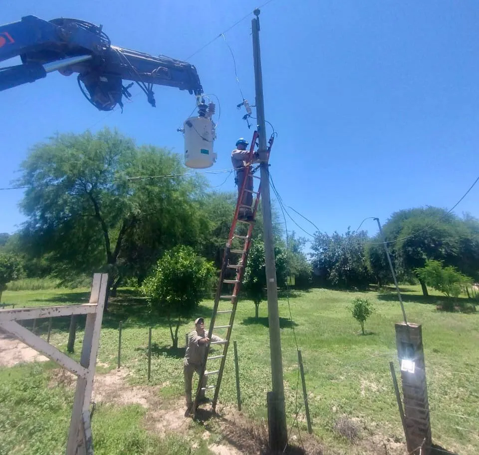 WhatsApp Image 2024-11-29 at 17.04.03