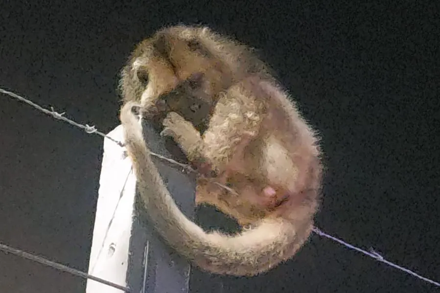 WhatsApp Image 2025-12-04 at 06.59.46