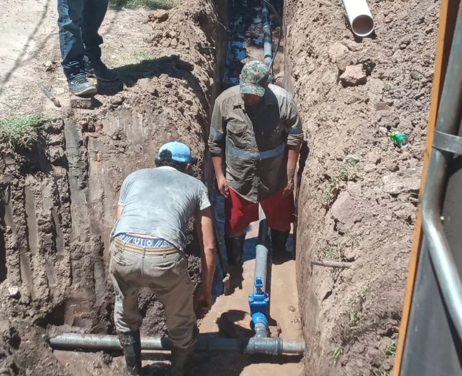 WhatsApp Image 2026-01-08 at 18.58.29