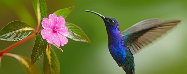 shutterstock_235104346-e1456480981989