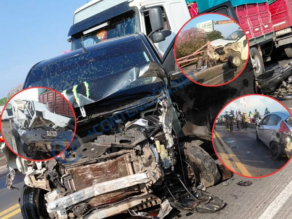 Presentación (43) (18)