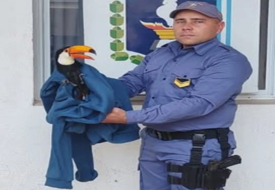 Sin título