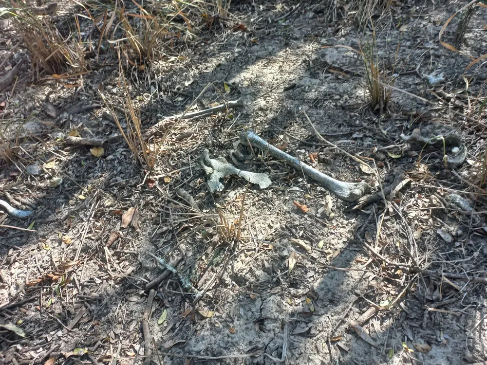 WhatsApp Image 2024-07-01 at 16.41.01