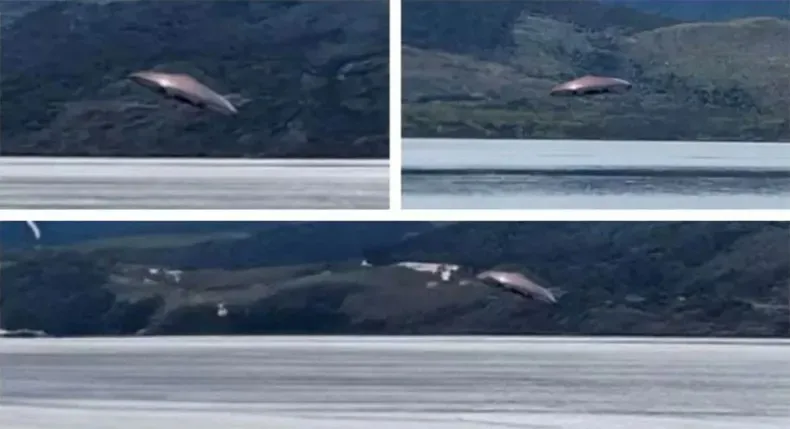 WhatsApp Image 2025-02-14 at 21.29.05