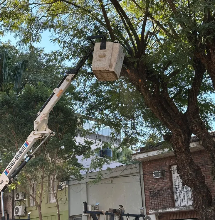 Imagen de WhatsApp 2025-07-18 a las 22.50.44_e5ef75cc