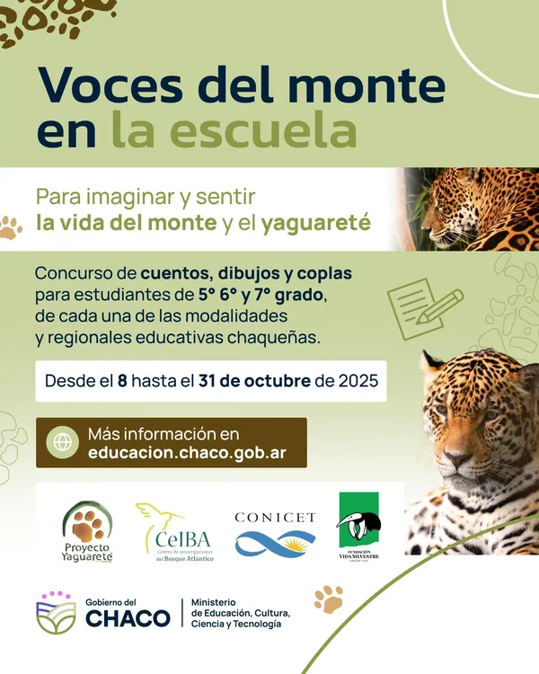 WhatsApp Image 2025-10-08 at 18.45.21