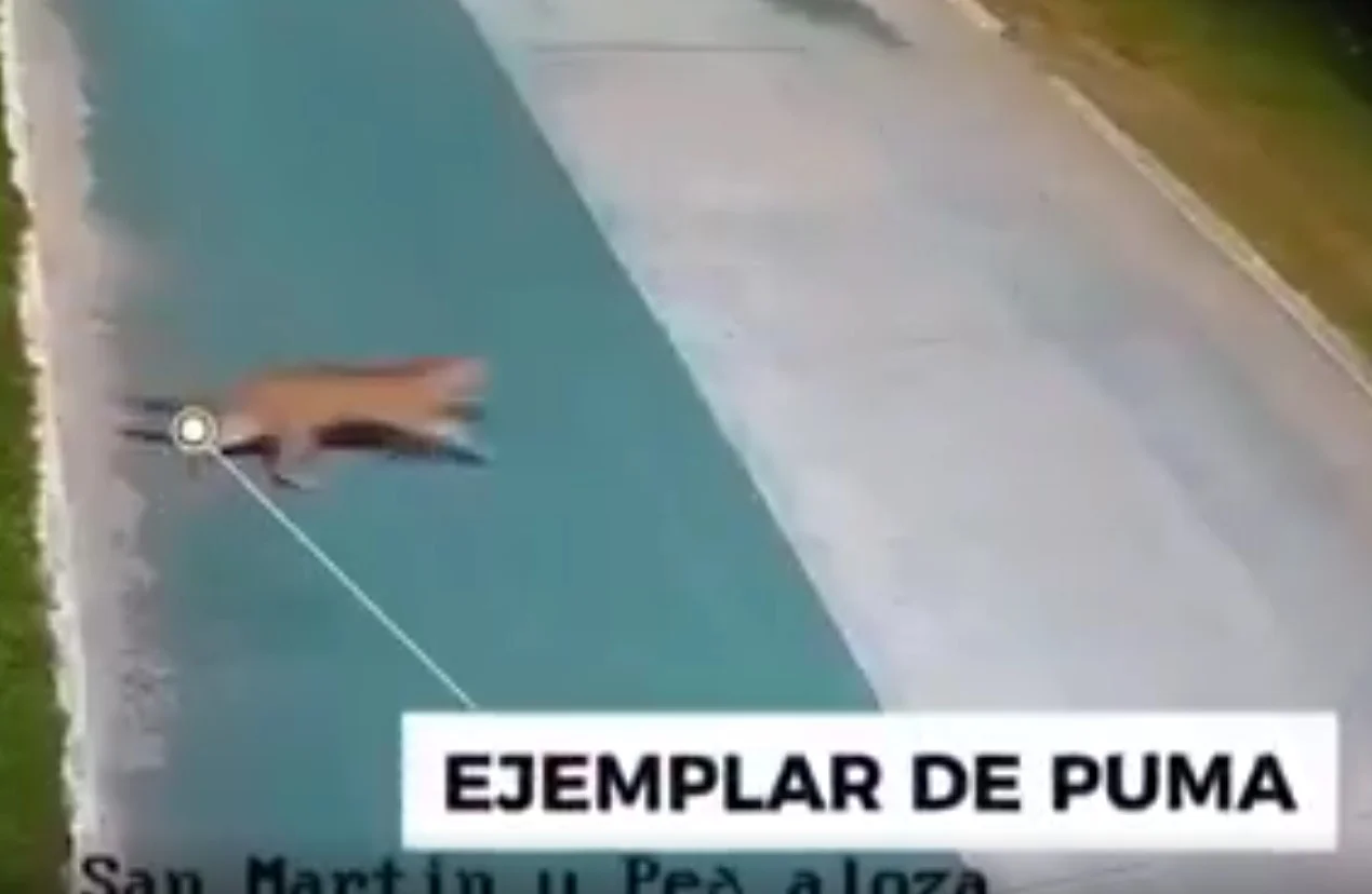Sin título