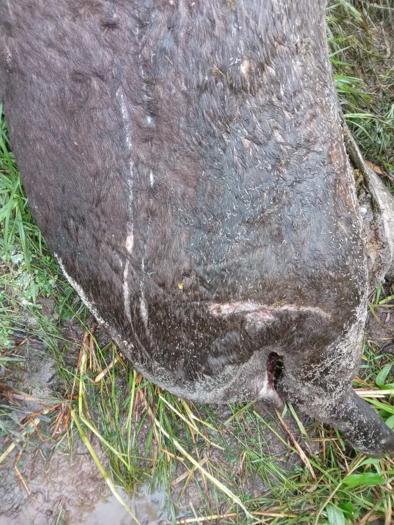 WhatsApp Image 2024-10-31 at 13.23.42 (4)