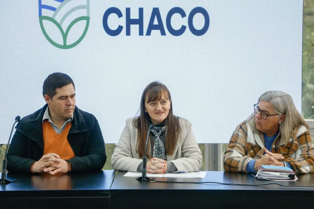 WhatsApp Image 2024-06-26 at 13.04.03