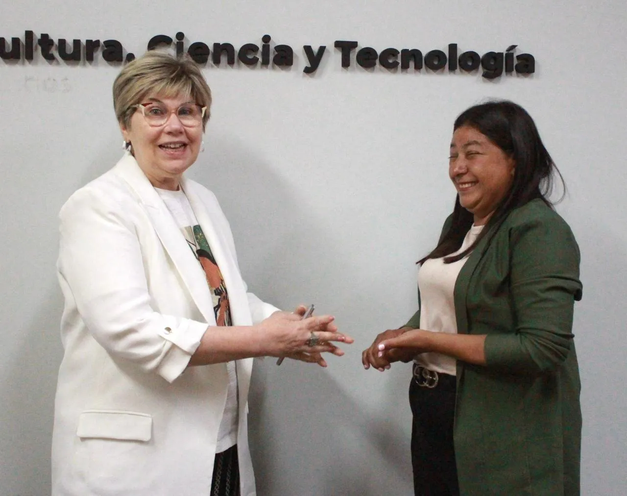 WhatsApp Image 2025-12-15 at 16.37.29