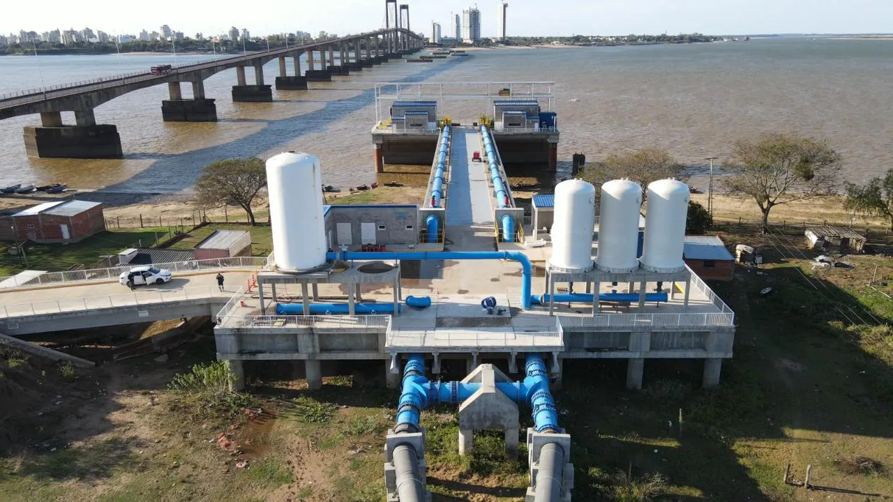 WhatsApp Image 2025-11-04 at 18.45.04