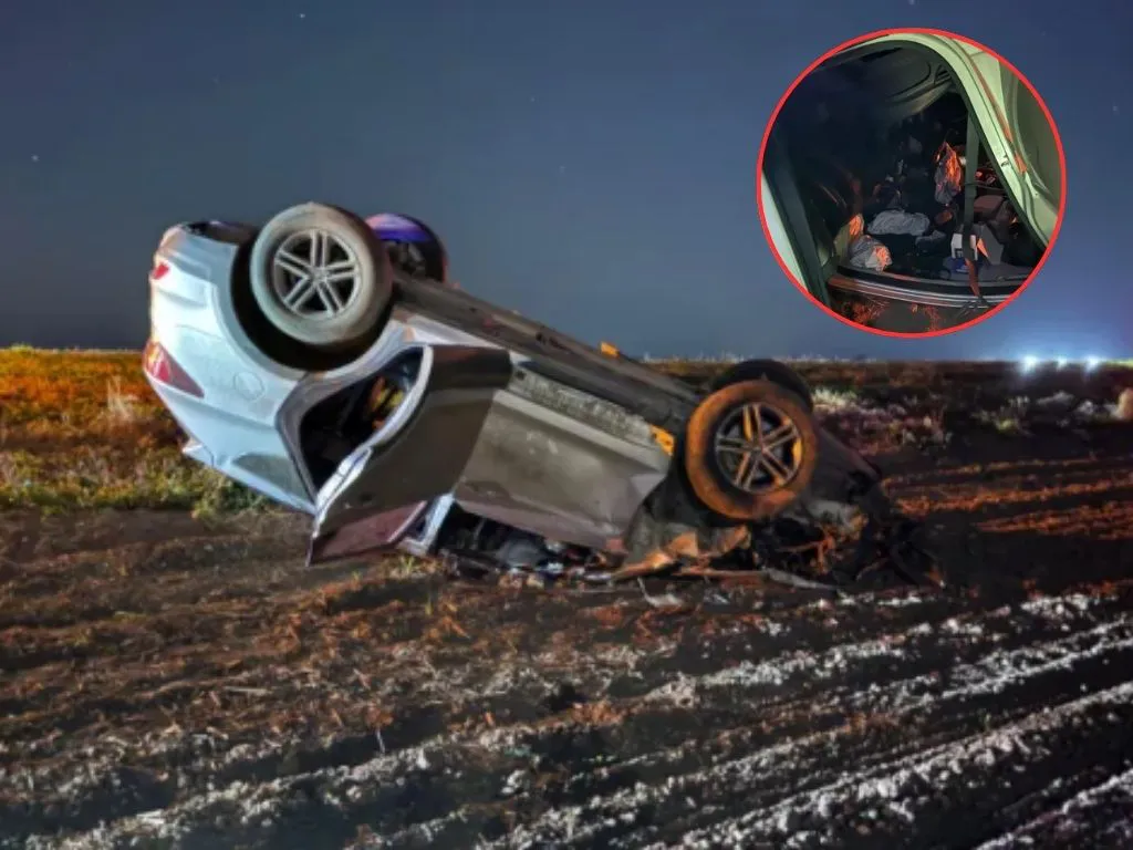 Presentación (43) (1)