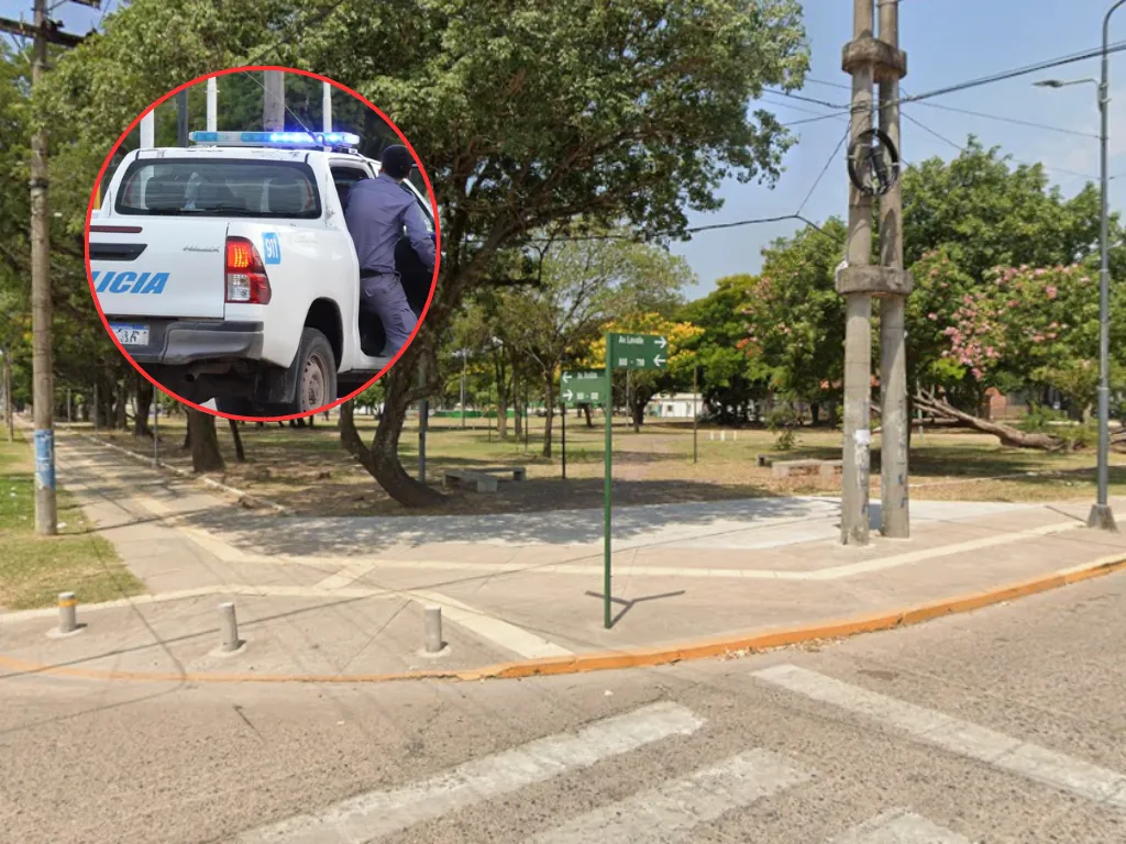 Presentación (43) (1)