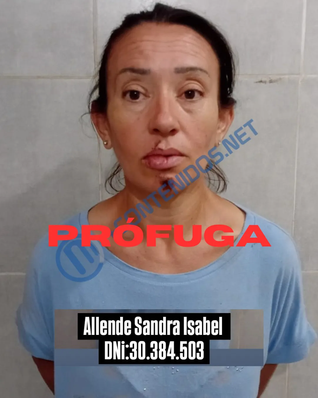 WhatsApp Image 2025-02-07 at 19.13.05