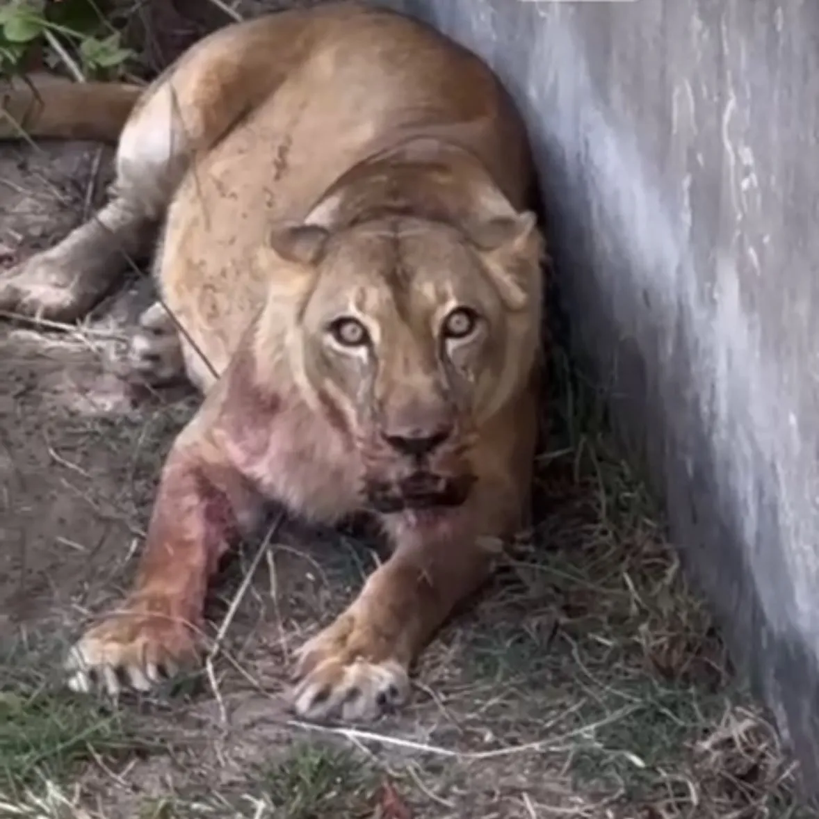 image - 2025-11-30T190957.350