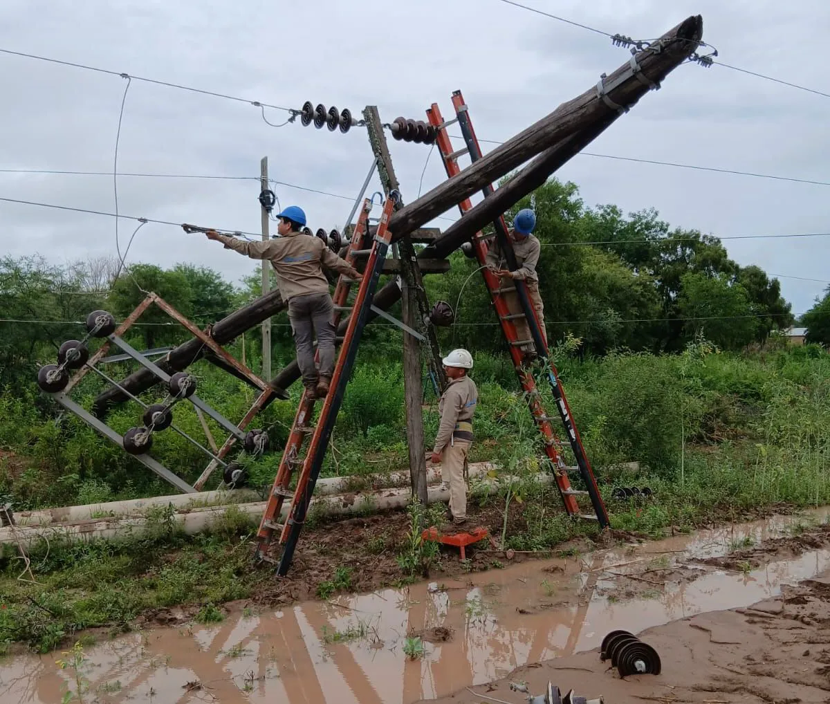 WhatsApp Image 2026-01-06 at 20.14.35