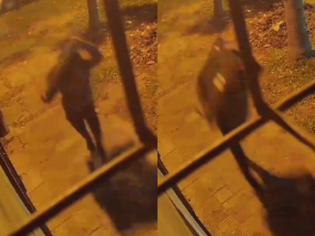 Presentación (43) (1)