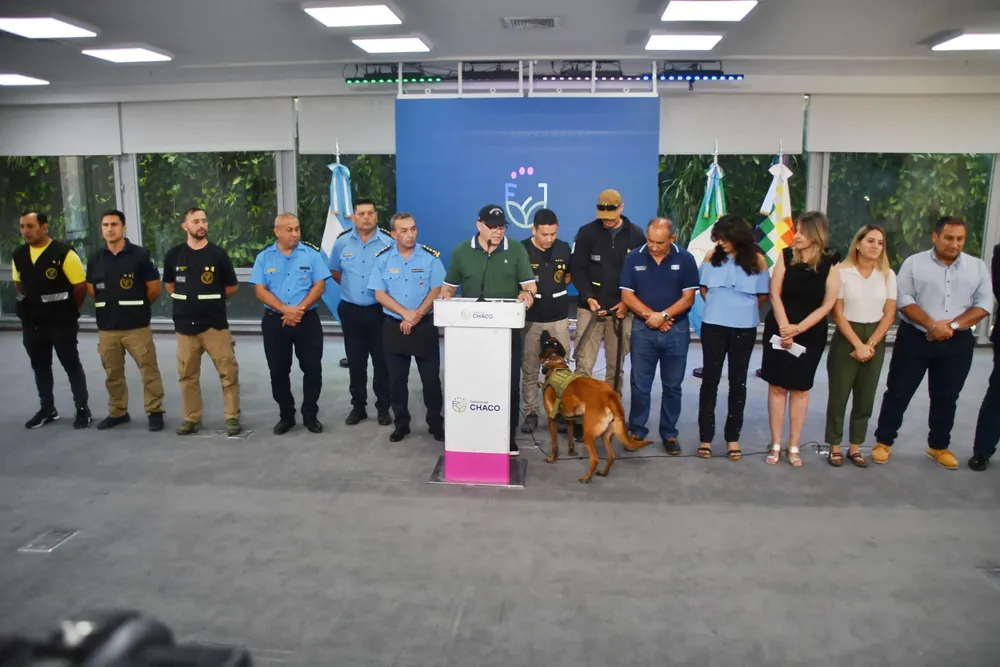 WhatsApp Image 2025-12-17 at 13.39.15