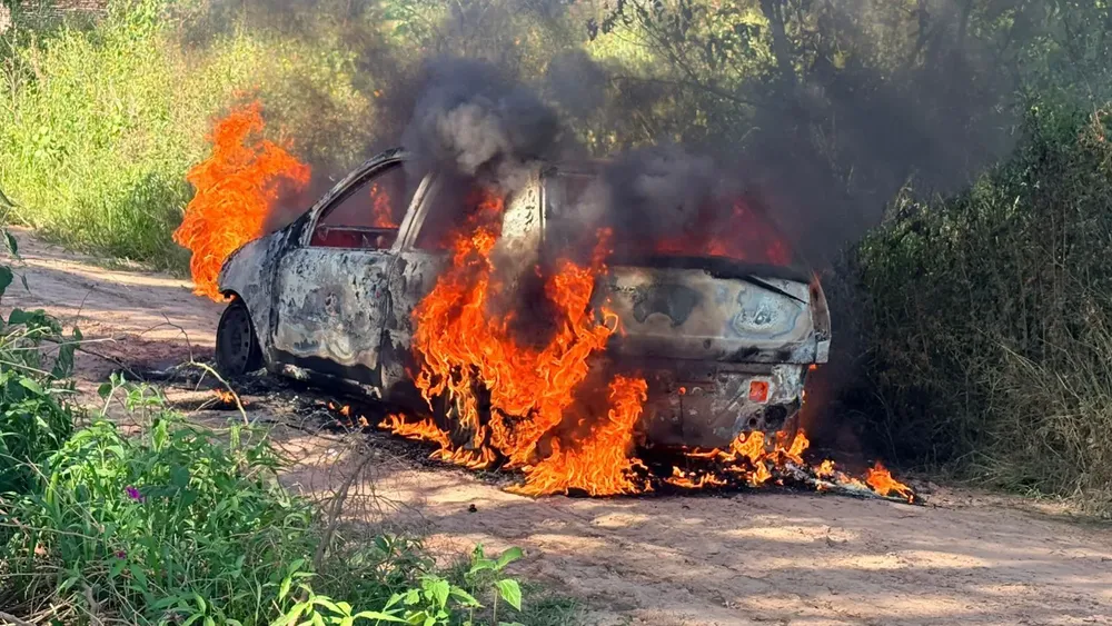 WhatsApp Image 2025-11-18 at 17.33.56