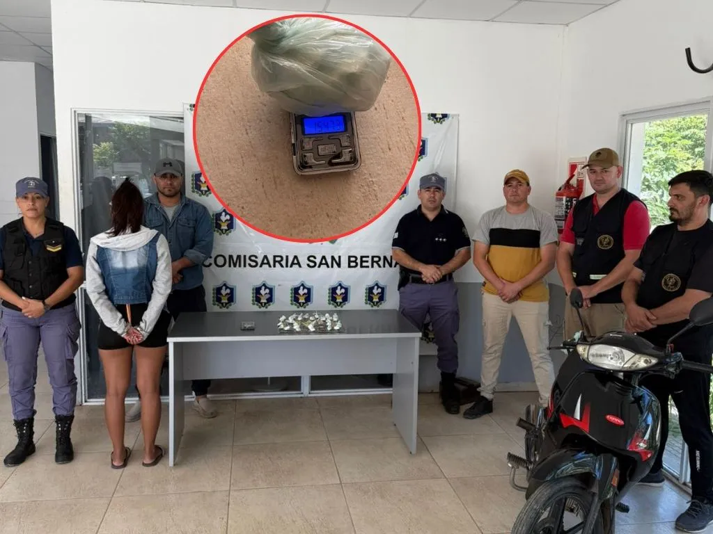 Presentación (43) (13)