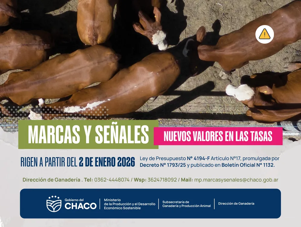 WhatsApp Image 2025-12-15 at 13.49.31