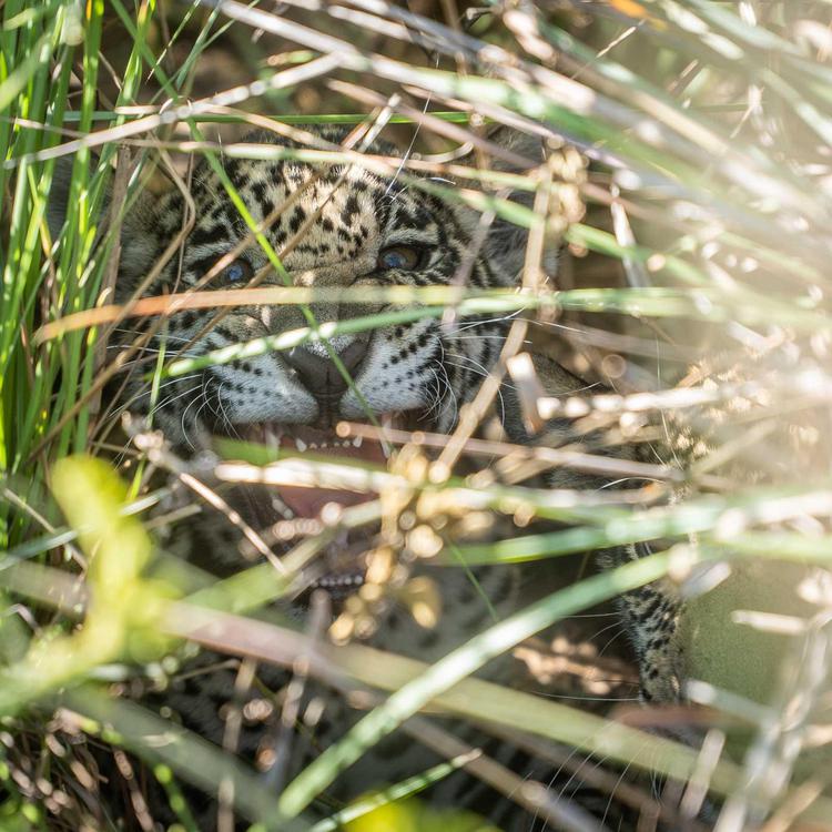 640b8acb0bf38503601294