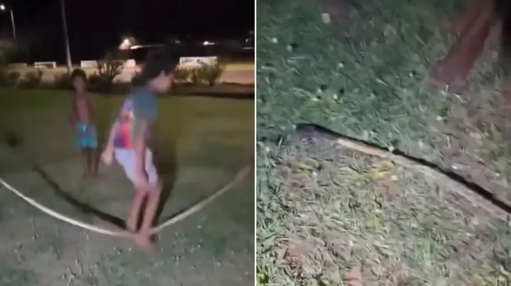 WhatsApp Image 2025-03-11 at 13.29.09