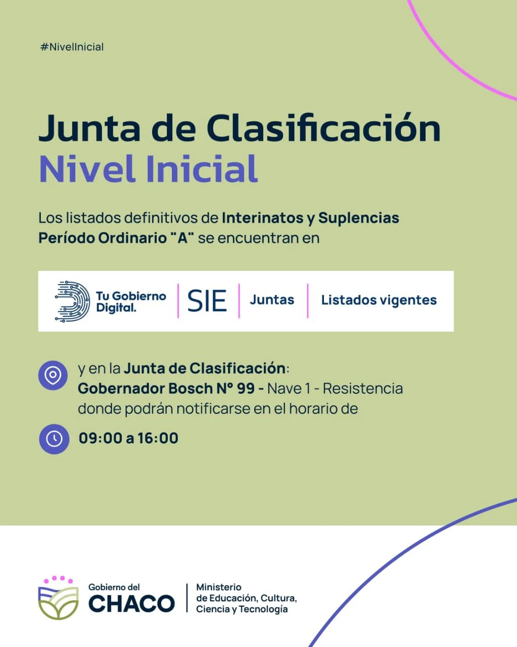 WhatsApp Image 2026-02-12 at 18.56.41