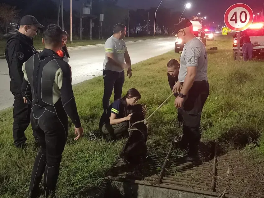 Imagen de WhatsApp 2025-08-30 a las 11.32.19_992691a6