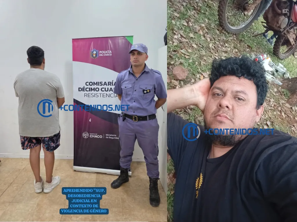 Presentación (43) (1)