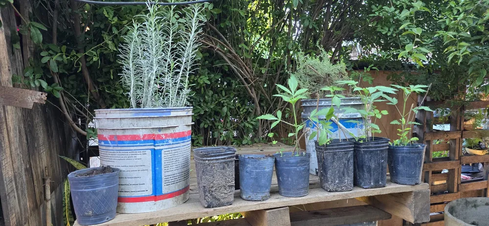 WhatsApp Image 2025-05-12 at 22.07.29