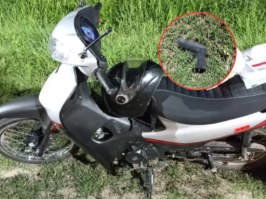 Presentación (43) (1)