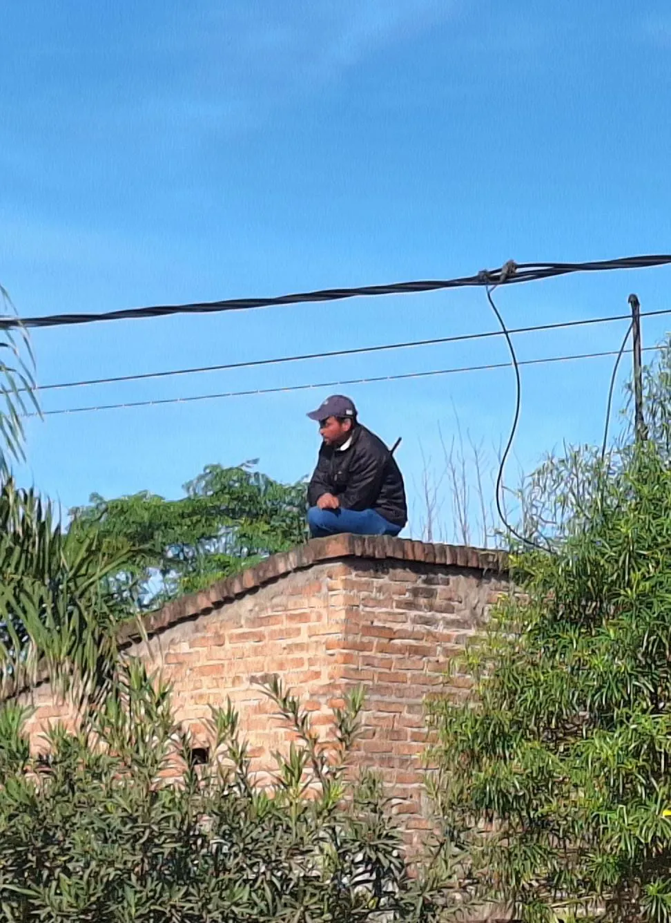 WhatsApp Image 2024-06-26 at 17.28.29