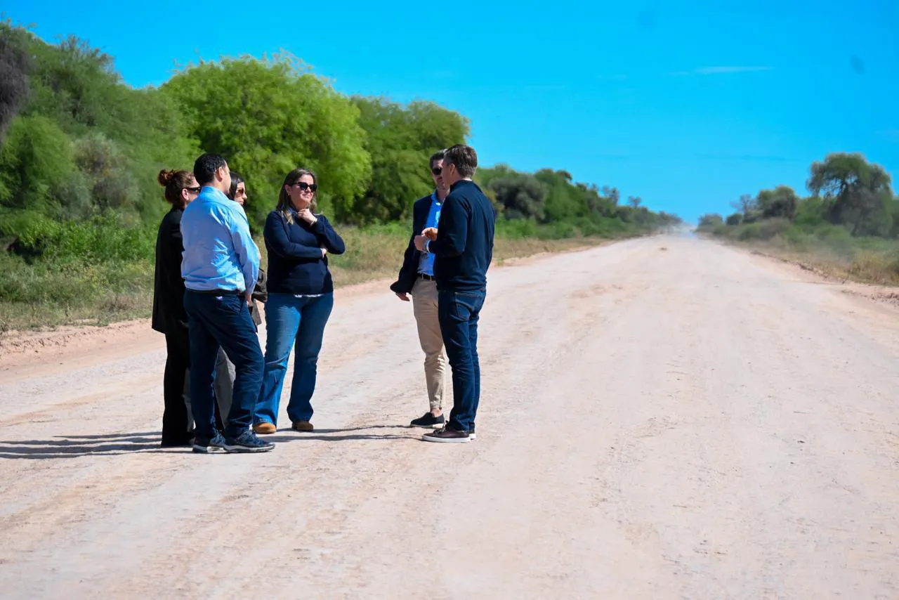 WhatsApp Image 2025-10-08 at 15.53.54