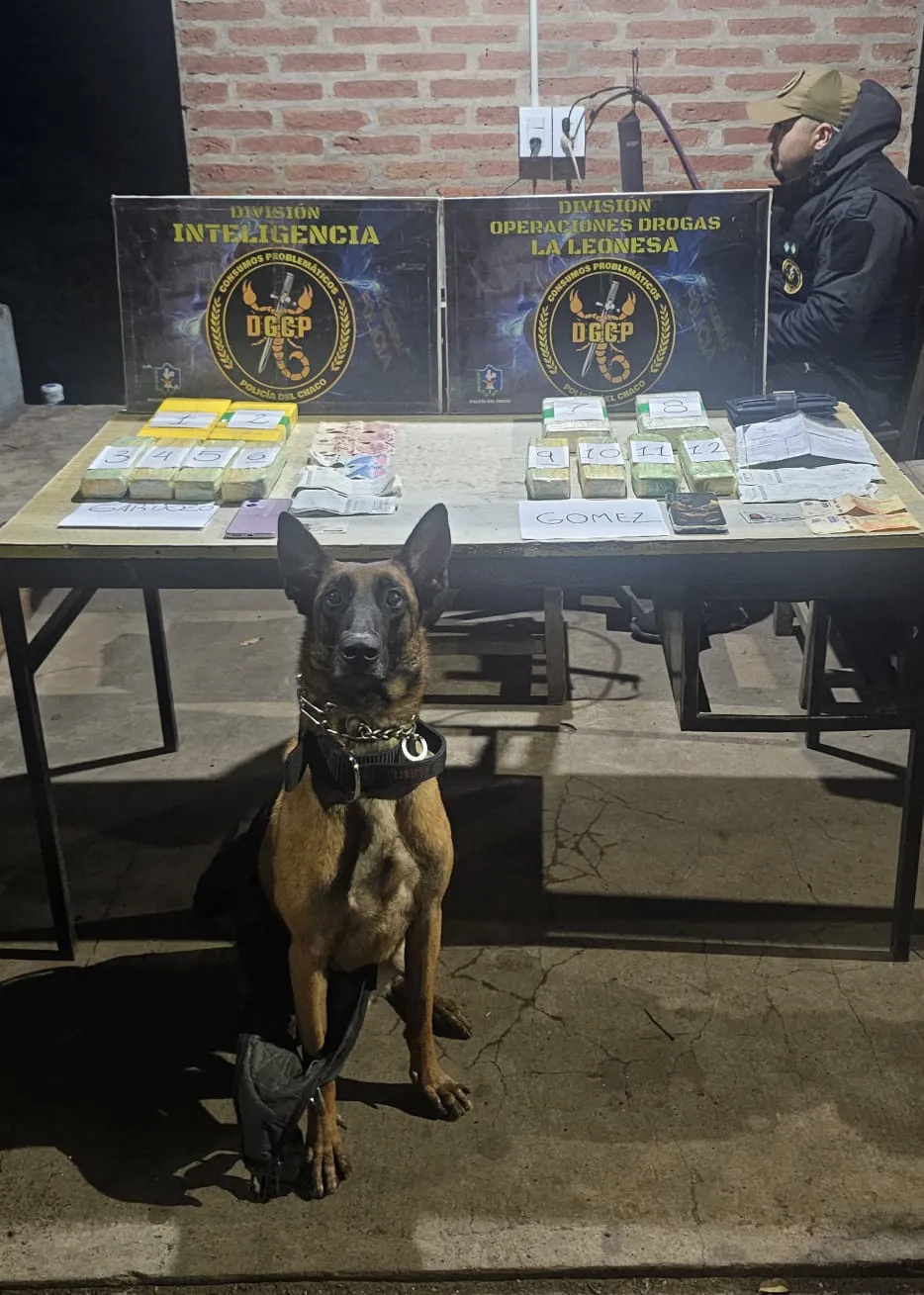 WhatsApp Image 2025-06-06 at 15.45.50