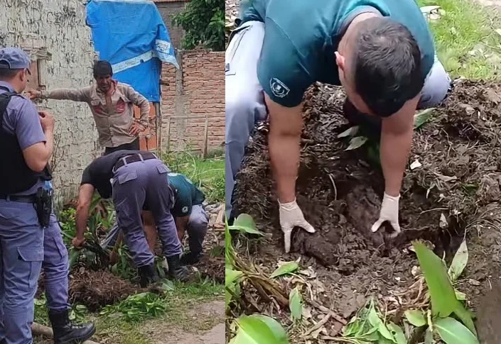 Sin título