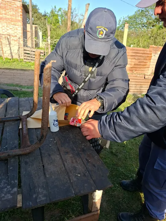 WhatsApp Image 2025-08-14 at 11.28.09