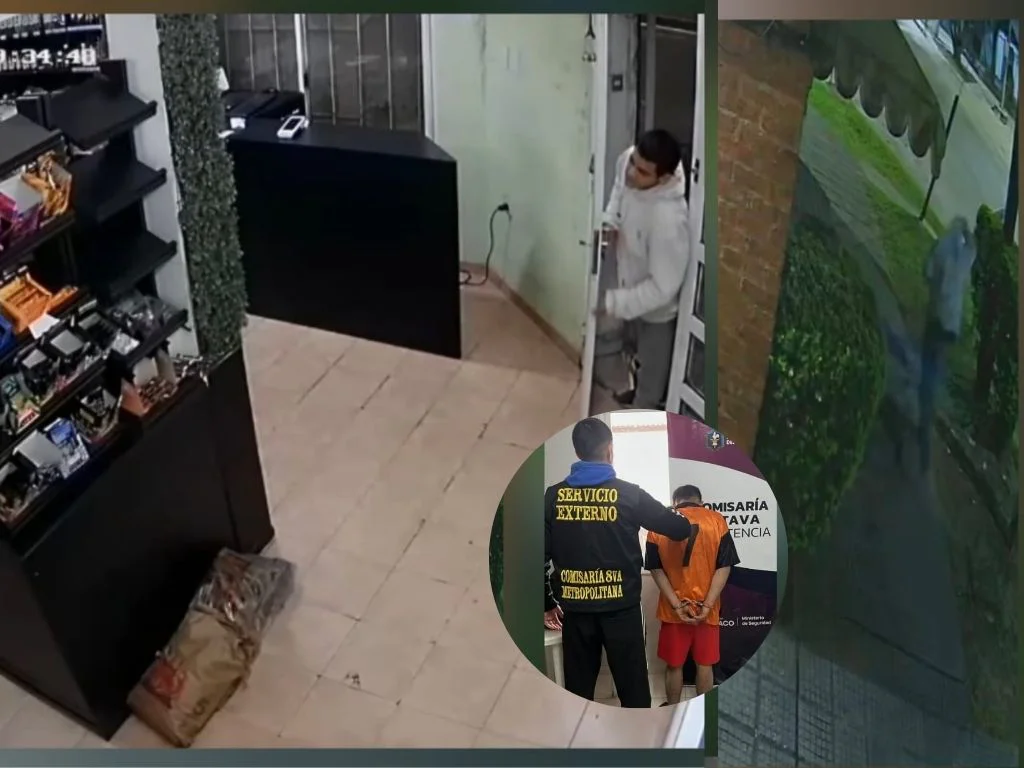 Presentación (43) (16)