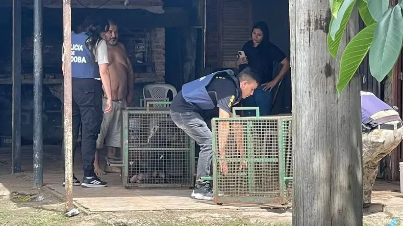 image - 2025-12-02T213156.208