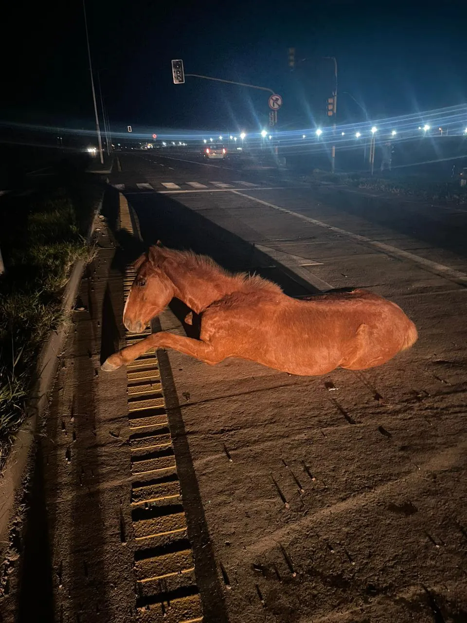 WhatsApp Image 2024-07-08 at 06.46.00