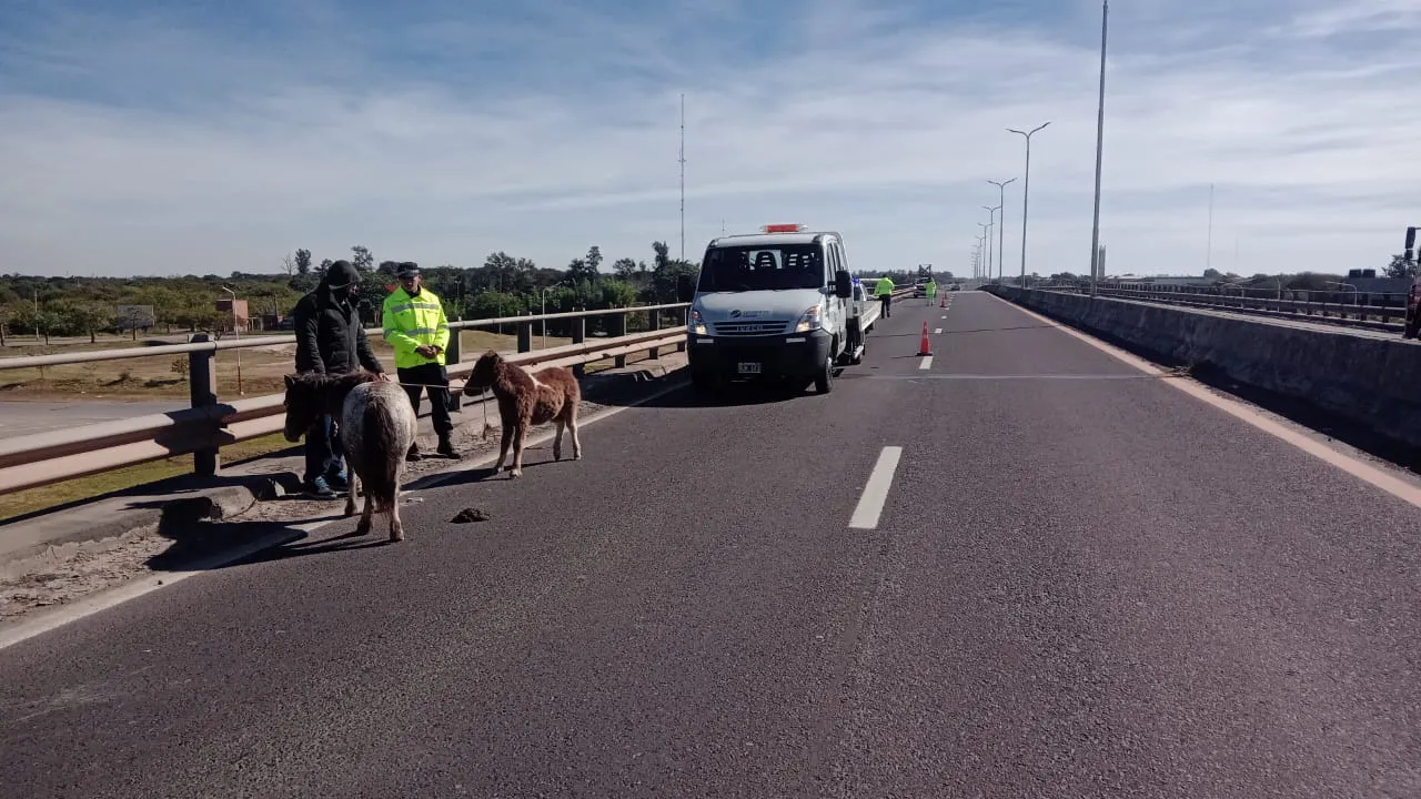 WhatsApp Image 2025-07-03 at 17.33.10 (1)